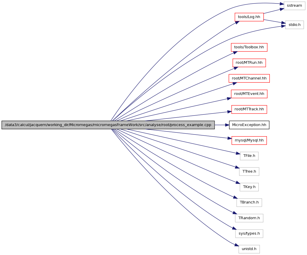 Process working directory