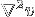 \nabla^2 v